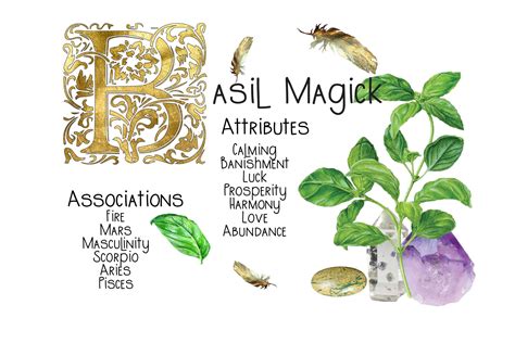 Magical attributes of plants